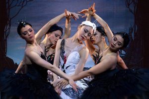 El Lago de los Cisnes ¡Lánzate al show por 250 años en CDMX!