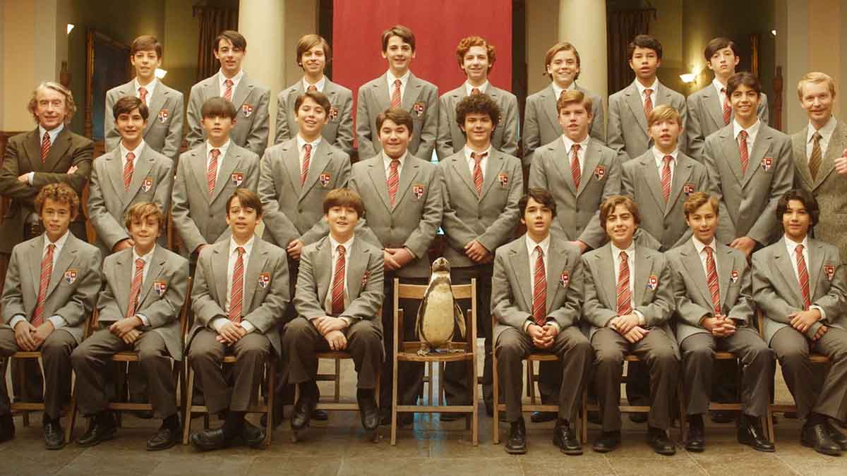 lecciones-de-pinguino-3