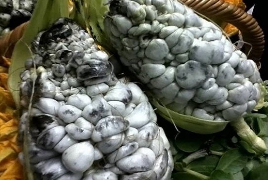 leyendas-huitlacoche