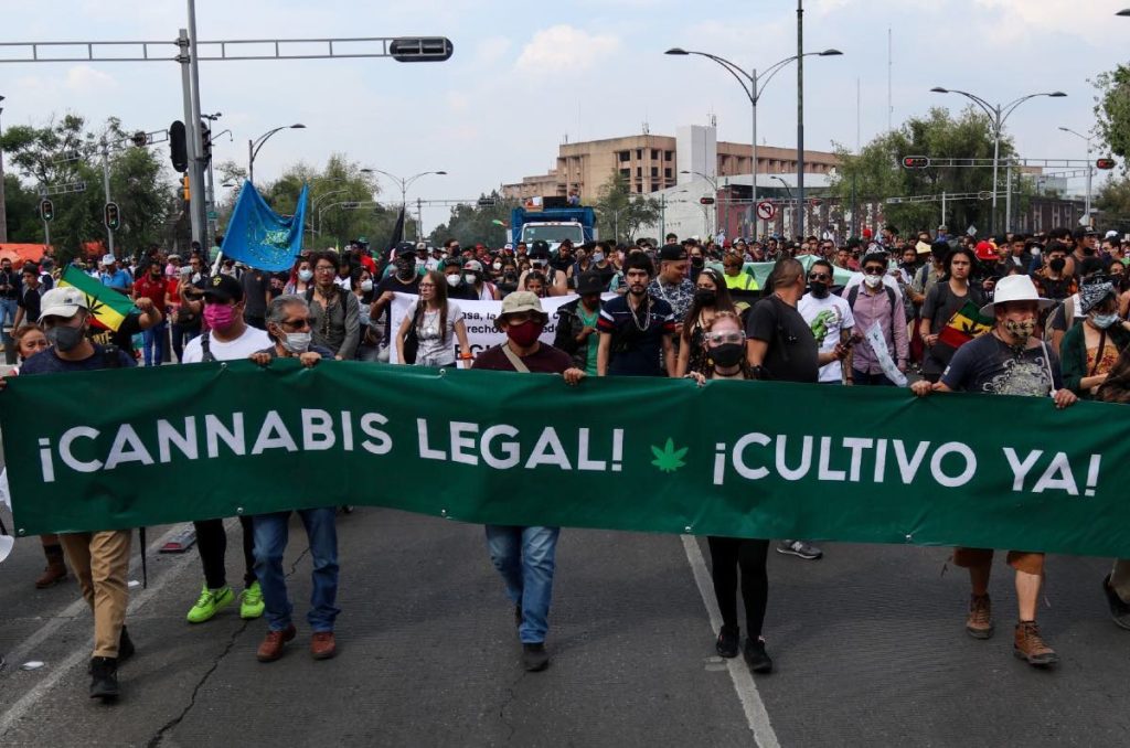 Marihuana puntos de consumo en CDMX reubicación