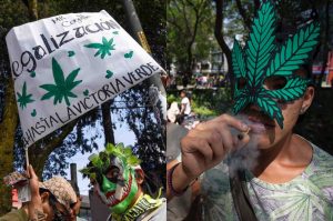 CDMX va por espacios de consumo de marihuana; busca reubicar