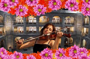 Noche de Museos de julio en el Museo del Muralismo: flores, territorio, música y emociones