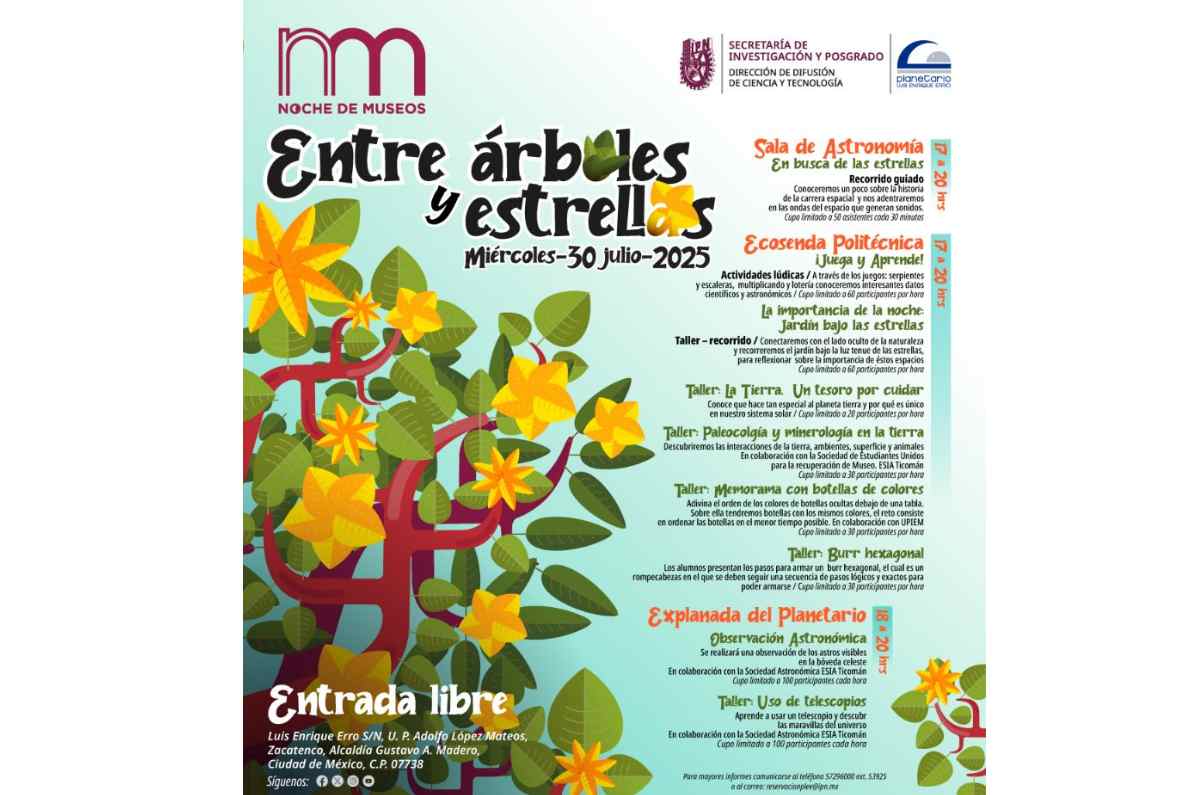 Entre árboles y estrellas