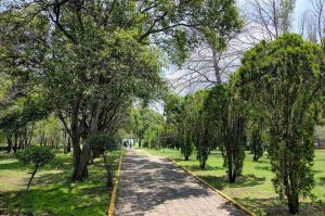 Naucalli se pone nocturno! Prepárate para las noches de parque