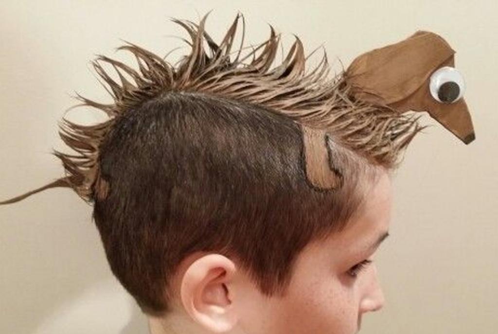peinado-perrito