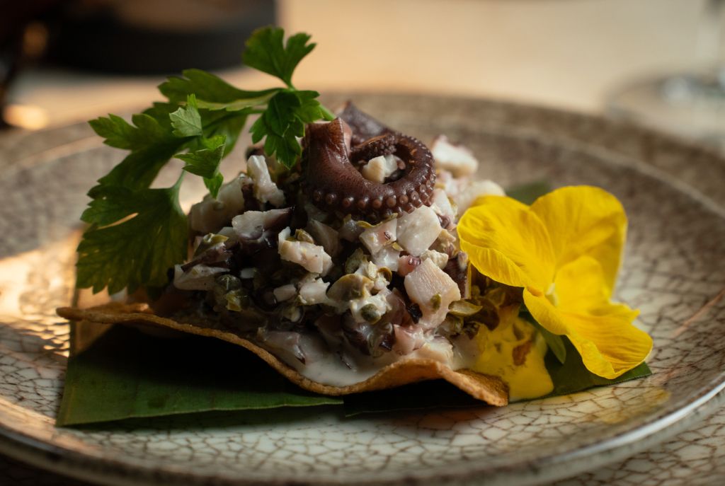 Pulpo enamorado
