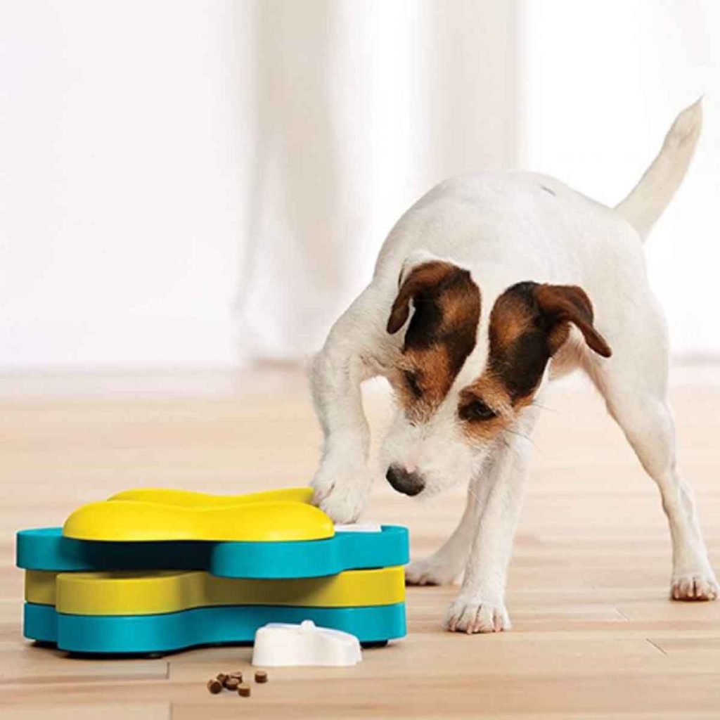 Beneful comparte ideas y un evento especial en CDMX para celebrar el Día del Perro, con juguetes, comida y experiencias