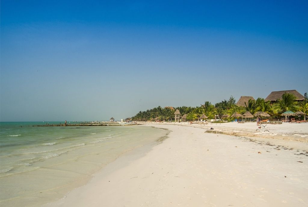 Vámonos a la playa bioluminiscente de Holbox a nadar con tiburones 2