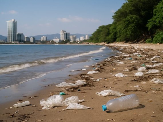 ¡Cuidado! Estas son las 6 playas más sucias de México en 2025, según Cofepris