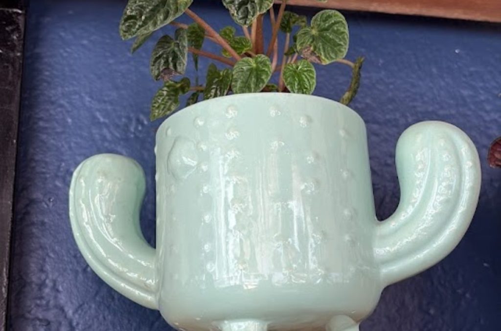 ¿Ya conoces The Workshop Garden? Cafetería y vivero en CDMX