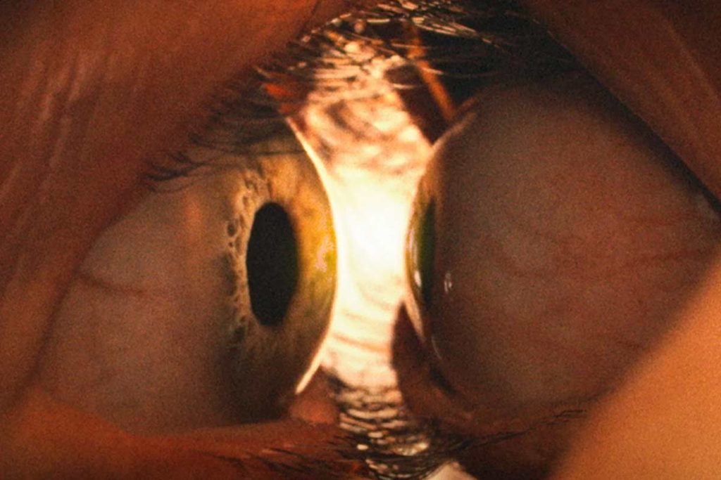 La mejor película de terror del año: Together. Una cinta con body horror sobre las relaciones amorosas. Imperdible