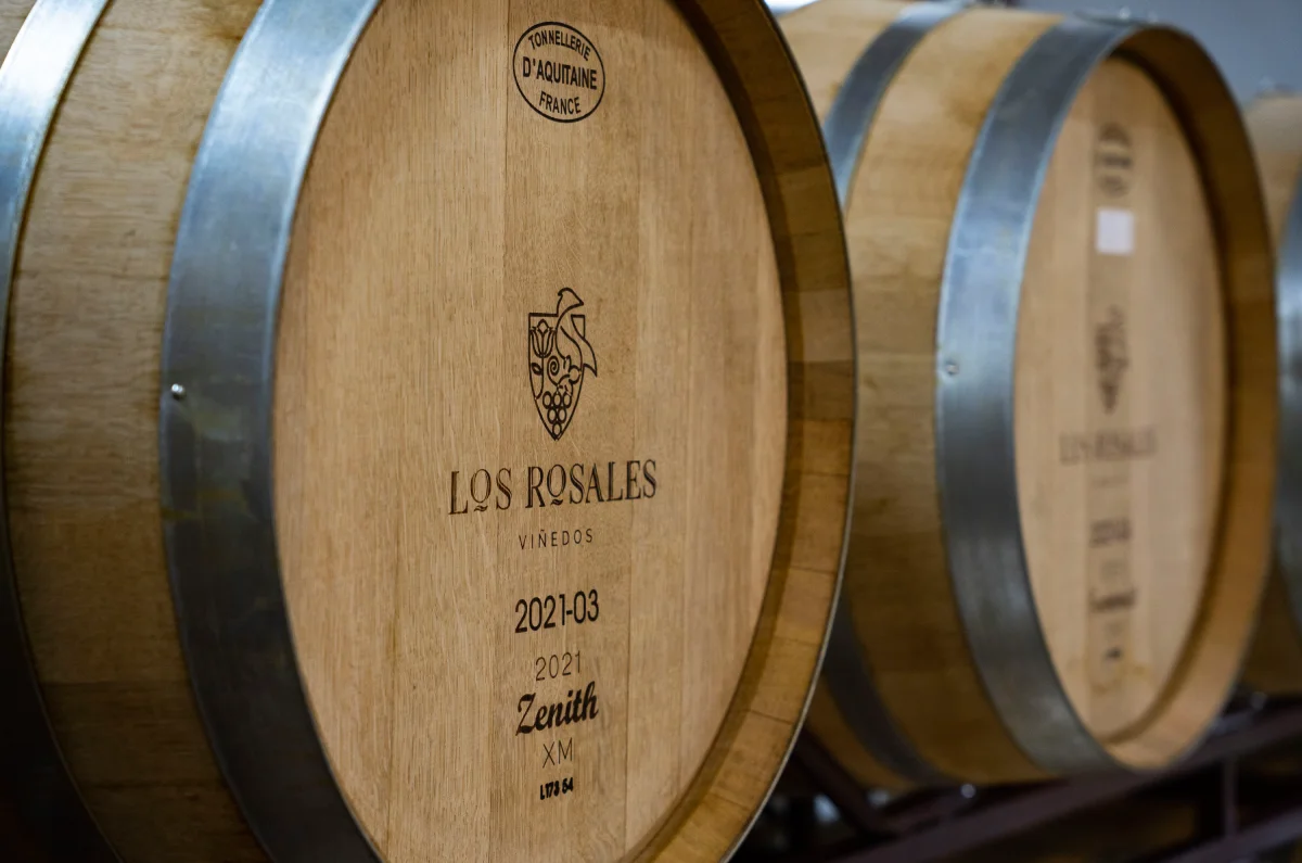 Festeja la 12va Vendimia en Viñedos Los Rosales
