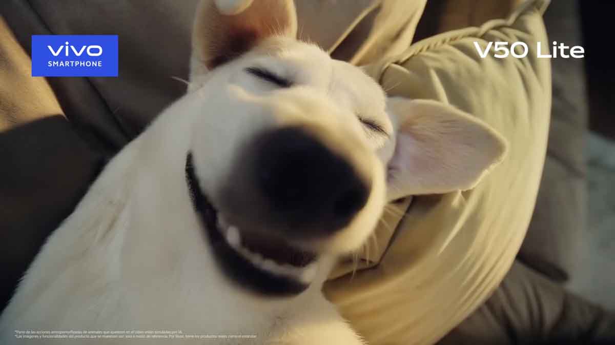 vivo-travieso-2