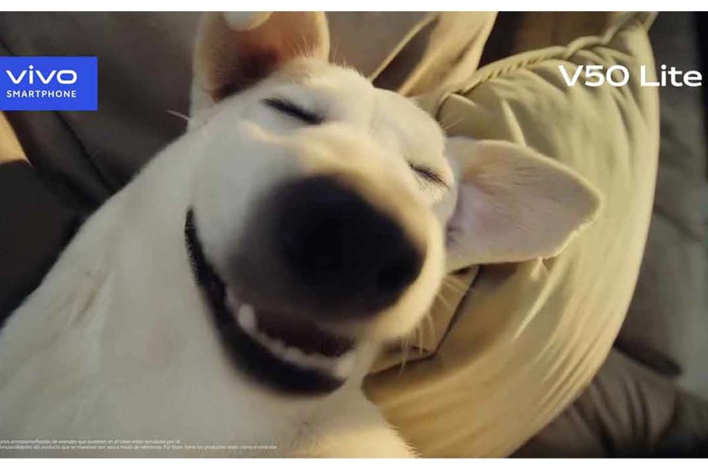 Vivo Smartphone presenta el vivo V50 Lite, un aliado resistente con gran batería y cámara, ideal para dueños de mascotas traviesas.