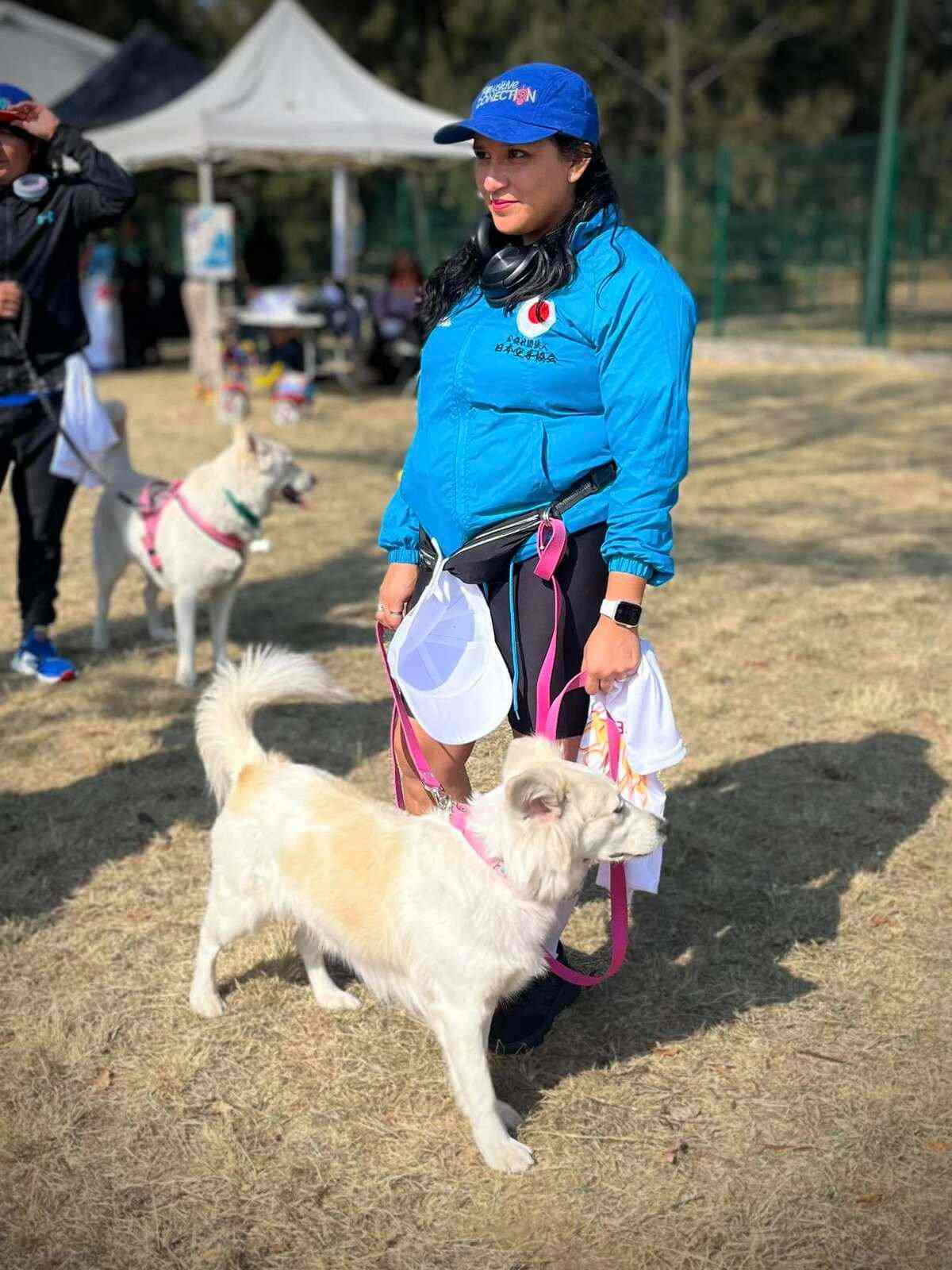 Carrera Amar es Adoptar en CDMX 