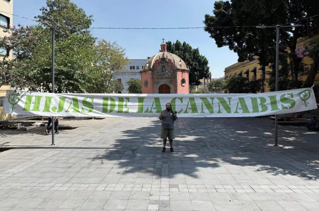 Campamentos 420 nuevas locaciones en CDMX y donde fumar marihuana