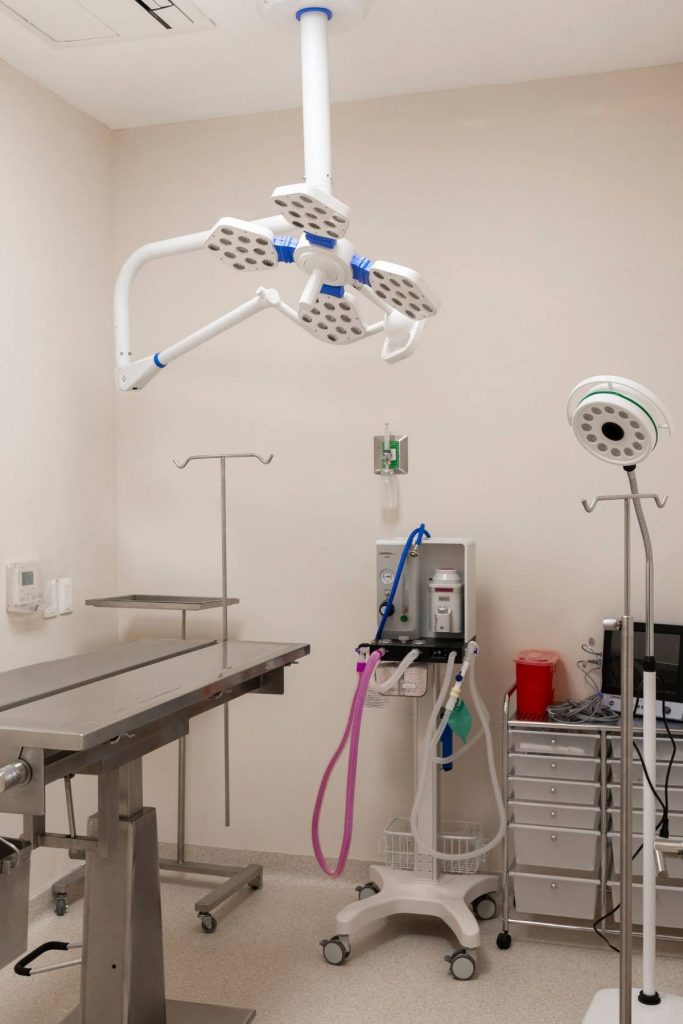 Médicos y quirófanos de primer nivel en Vetalia