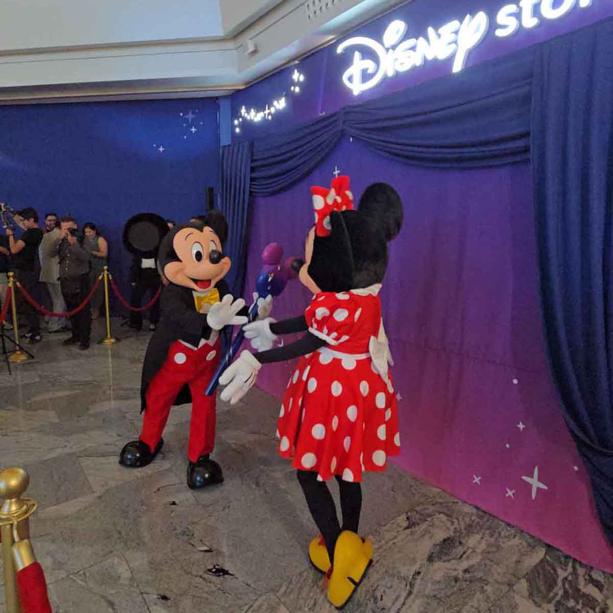 disney-store-oficial-2