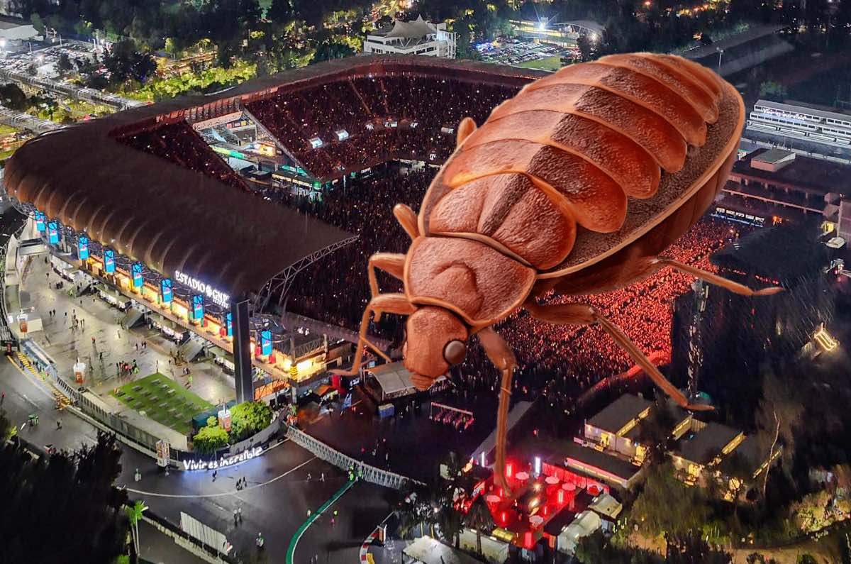 ¿El Estadio GNP Seguros tiene chinches? Video se hace viral
