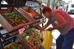 Disfruta de la Feria del Campo 2025 en La Magdalena Contreras ¡Gratis!
