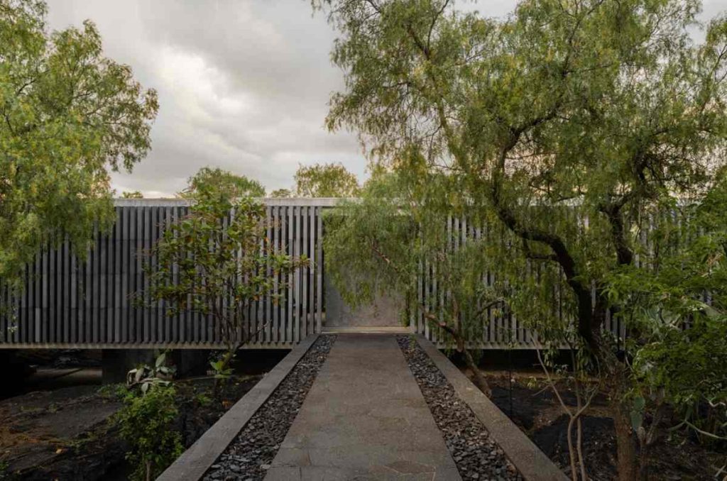 Festival de Arquitectura en Español 2025: Ryue Nishizawa y Mauricio Rocha llegan a CDMX
