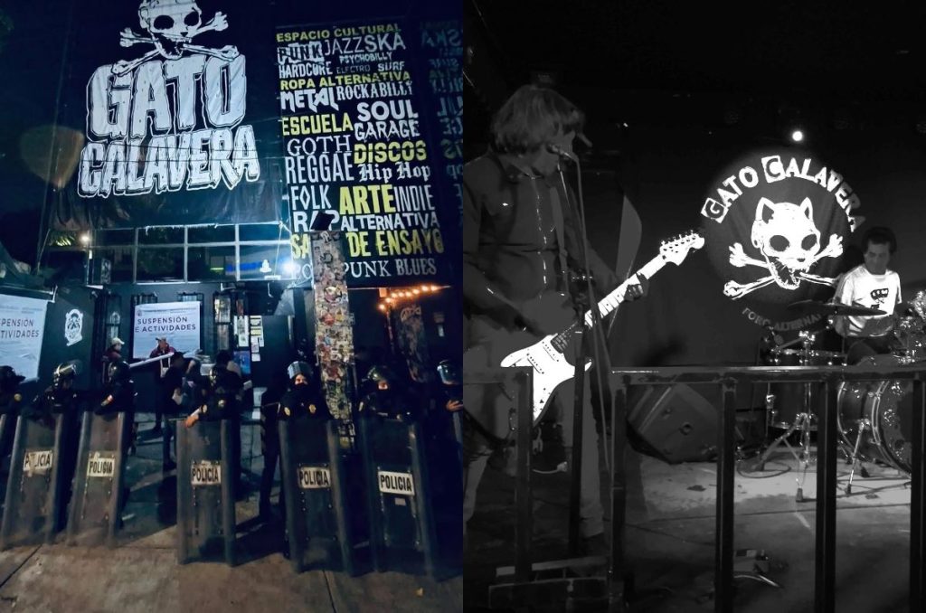 Gato Calavera CDMX clausura recinto por golpiza