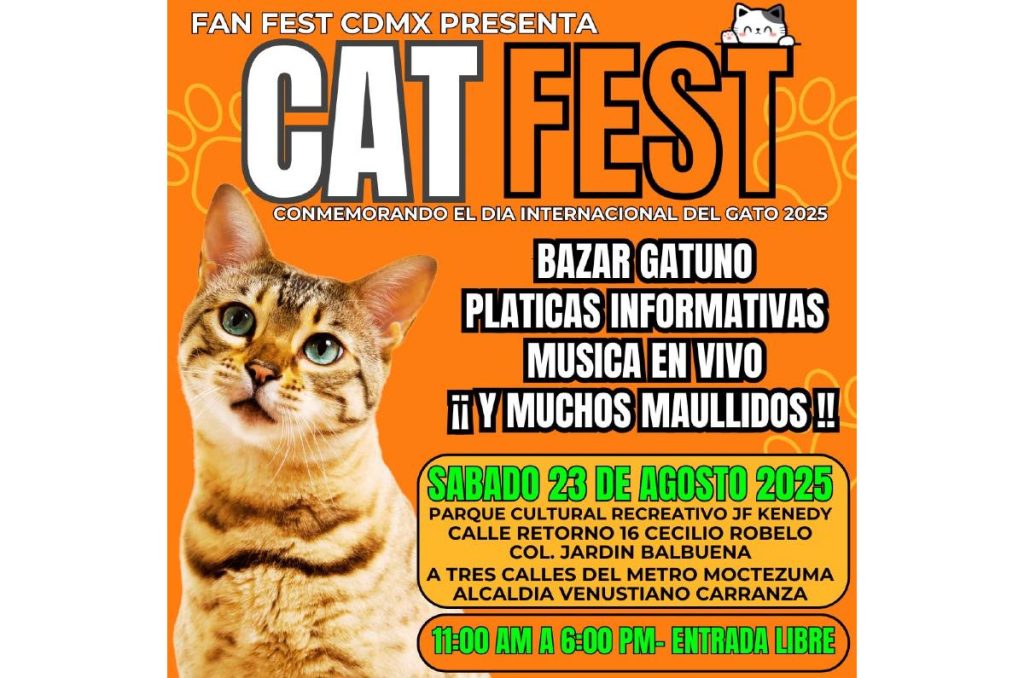 Gatos adopción evento gratis Cat Fest CDMX 2025