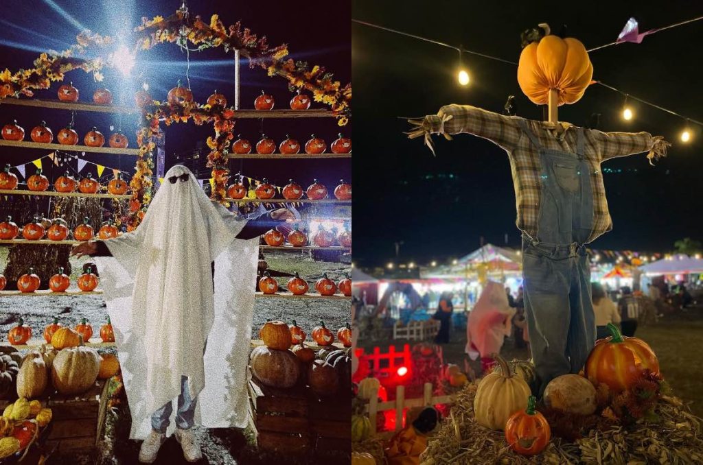 Halloween Pumpkin Zone 2025 Puebla evento de calabazas y cine 