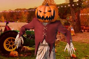 Pumpkin Zone 2025: ¡El festival de Halloween que debes visitar!