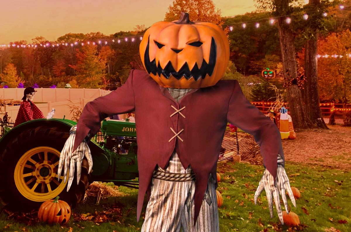 Pumpkin Zone 2025: ¡El festival de Halloween que debes visitar!
