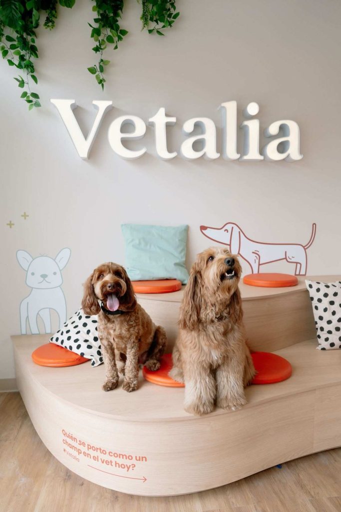 Sucursales de Vetalia