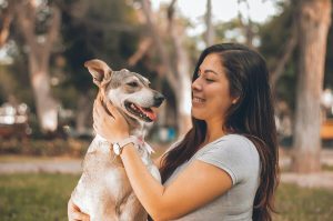Realizarán jornada gratuita de esterilización en CDMX ¡Lleva a tu mascota!