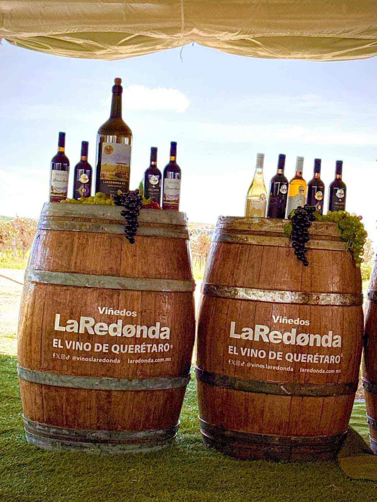 Viñedos La Redonda celebra su 50 aniversario. La temporada de vendimia inaugura una nueva etapa con un vino conmemorativo y reconocimientos.