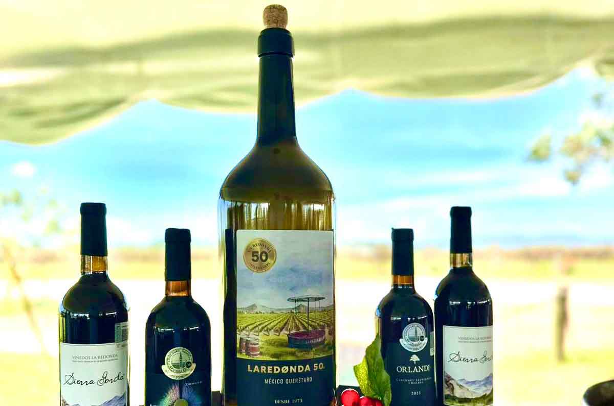 ¡50 años de vino! La Redonda celebra su vendimia con medallas y orgullo queretano
