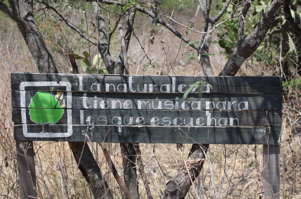 Plan trepacerros: visita el Parque Nacional del Cimatario en Querétaro con tus amigos 3