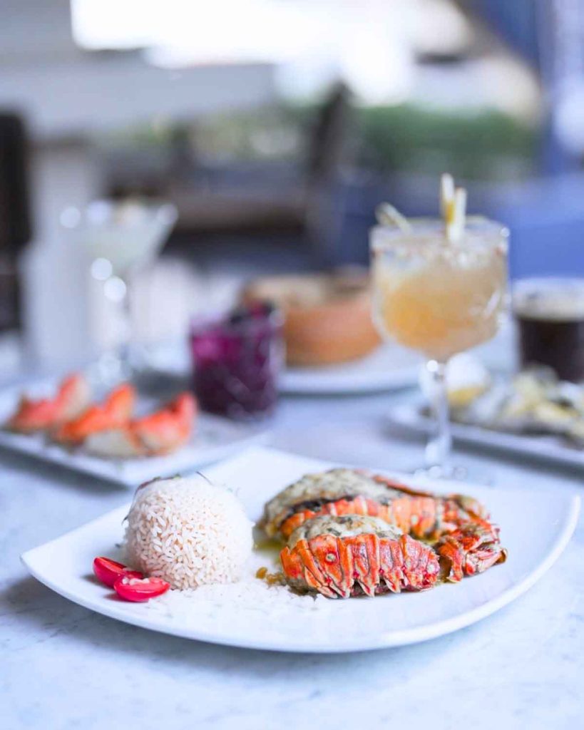 Comida de mar y tragos: la combinación perfecta en Marjul Oyster Bar en Tecamachalco, con promociones en bebidas todos los días