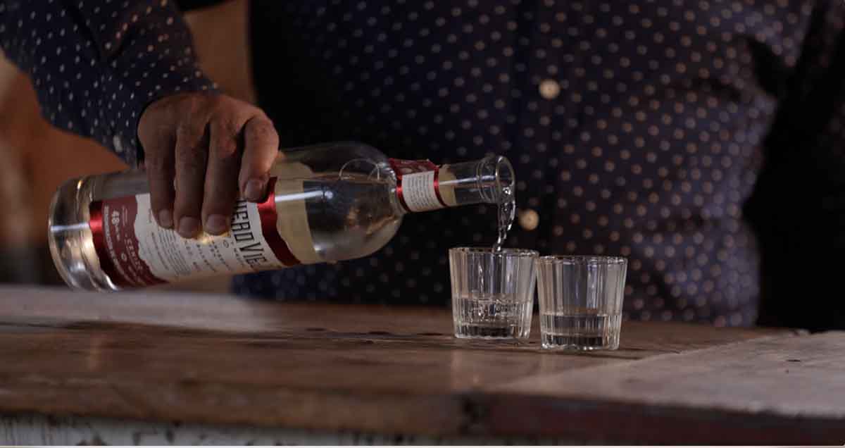 Descubre el mezcal de Durango, una bebida con Denominación de Origen. Recorre campos de agave, conoce el proceso de elaboración