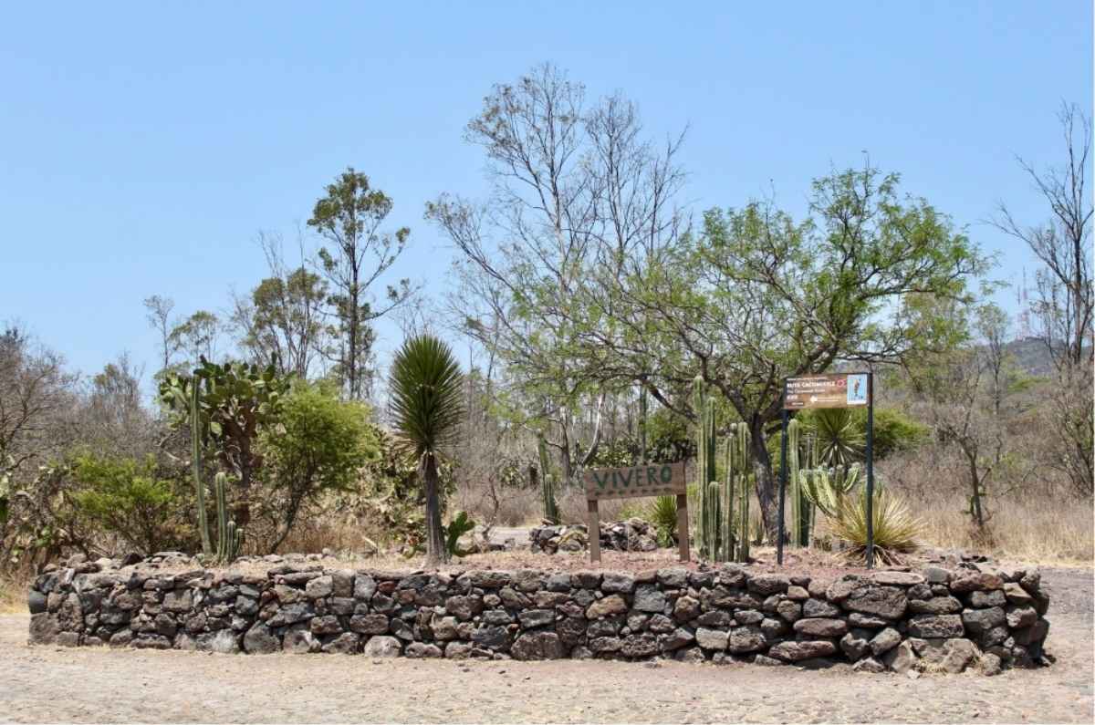 Plan trepacerros: visita el Parque Nacional del Cimatario en Querétaro con tus amigos