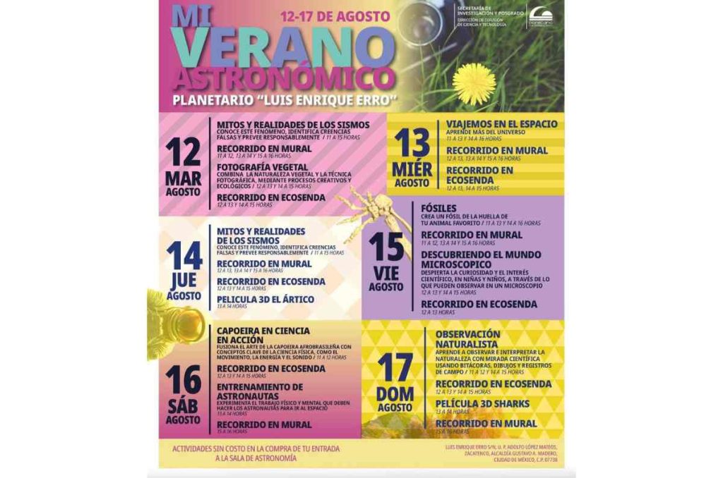 Crea tu propio fósil en el taller de verano del Planetario Luis Enrique Erro