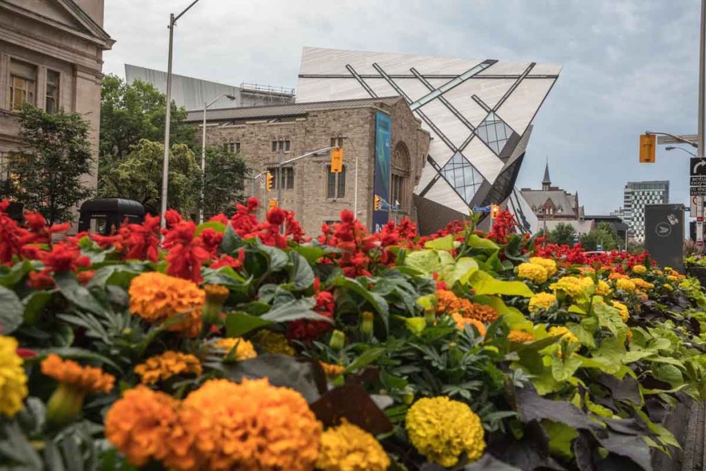 Este verano, Toronto te invita a explorar sus rincones naturales y su vibrante escena gastronómica. Descubre parques, terrazas y arte urbano.