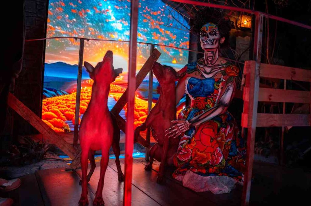 Regresa Un Viaje al Mictlán a CDMX: revive el Día de Muertos en PlazaMetrópoli