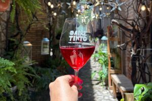 Aire Tinto 2025: un brindis entre vino, gastronomía y música en Val’Quirico
