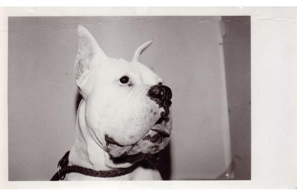 Warhol y su obturador fugaz