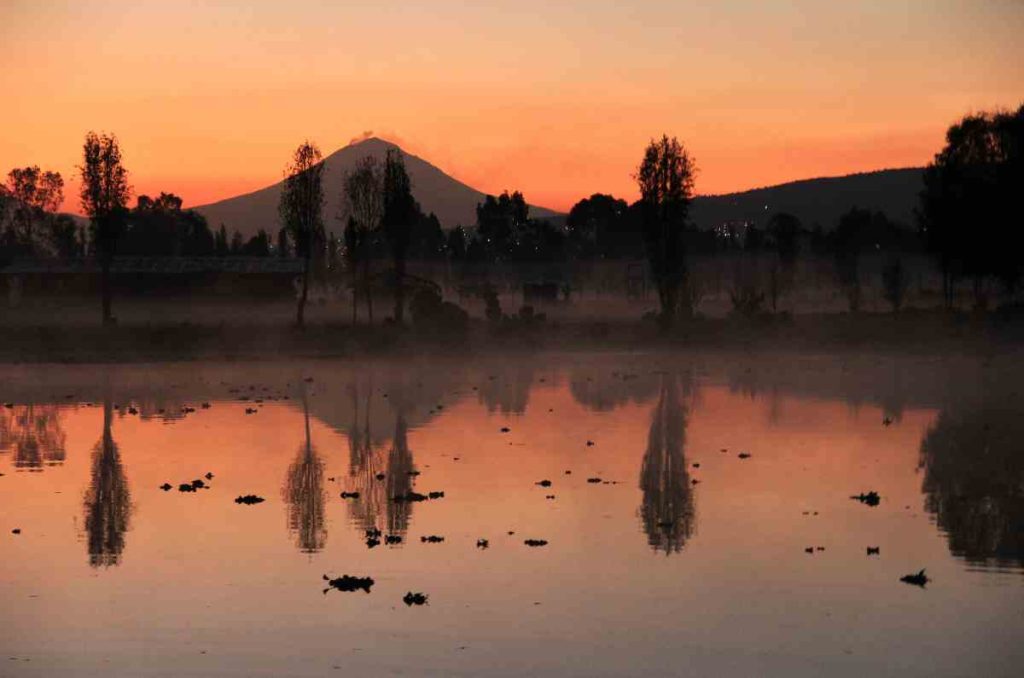 Honra el Día de Muertos en Xochimilco con “Raíces”, un espectáculo inmersivo imperdible