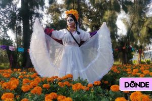 Celebra el Día de Muertos en Xochimilco: Un tour lleno de tradición y diversión