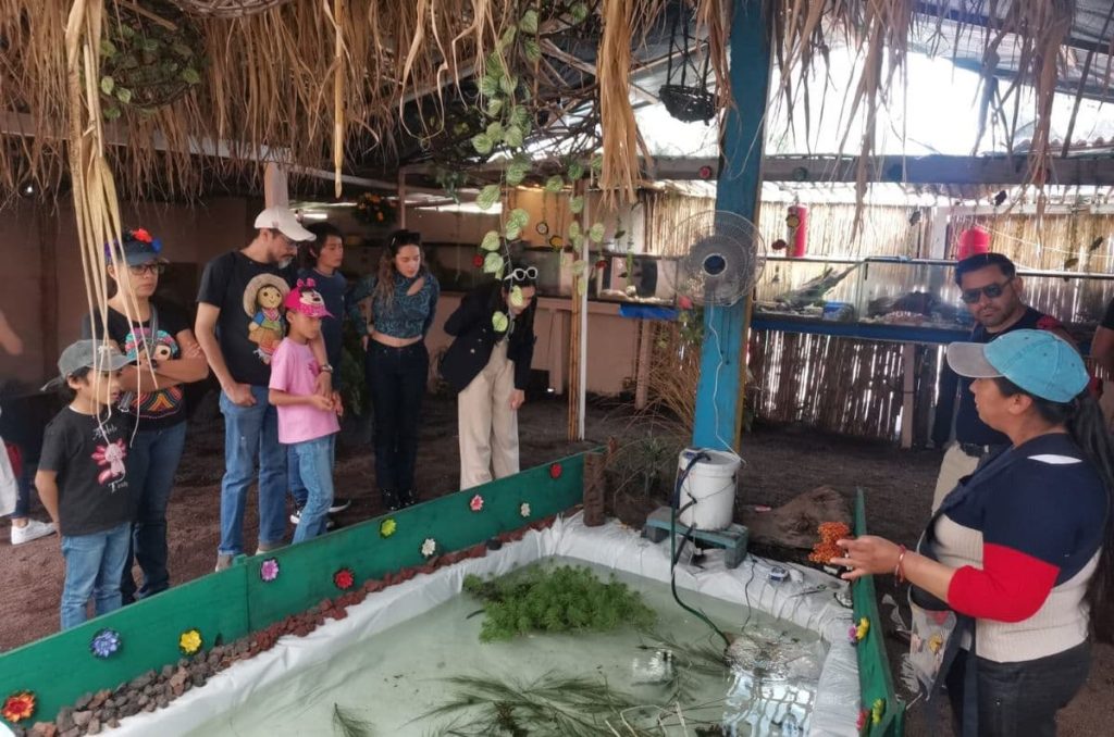 Celebra el Día de Muertos en Xochimilco: Un tour lleno de tradición y diversión 1