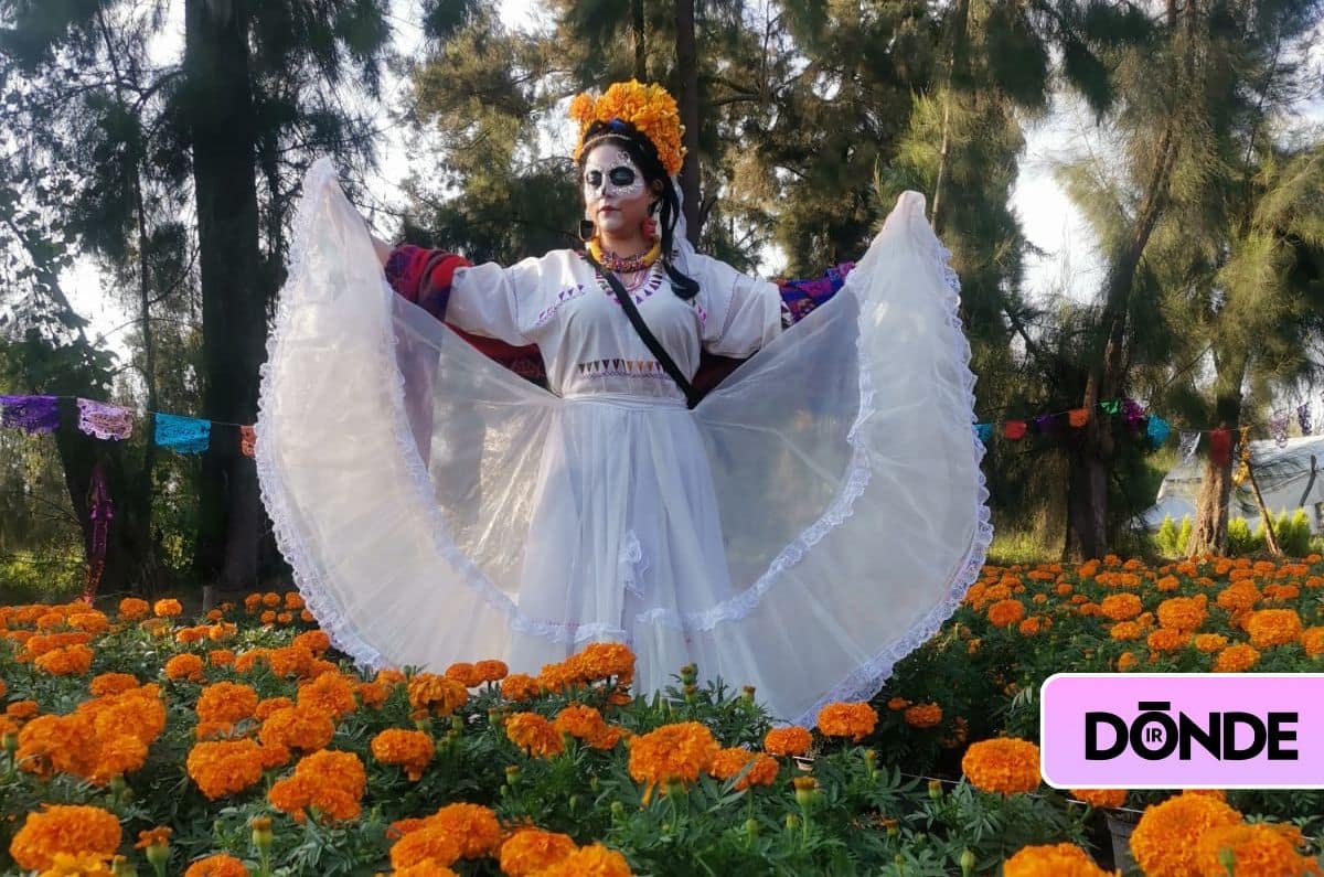 Celebra el Día de Muertos en Xochimilco: Un tour lleno de tradición y diversión