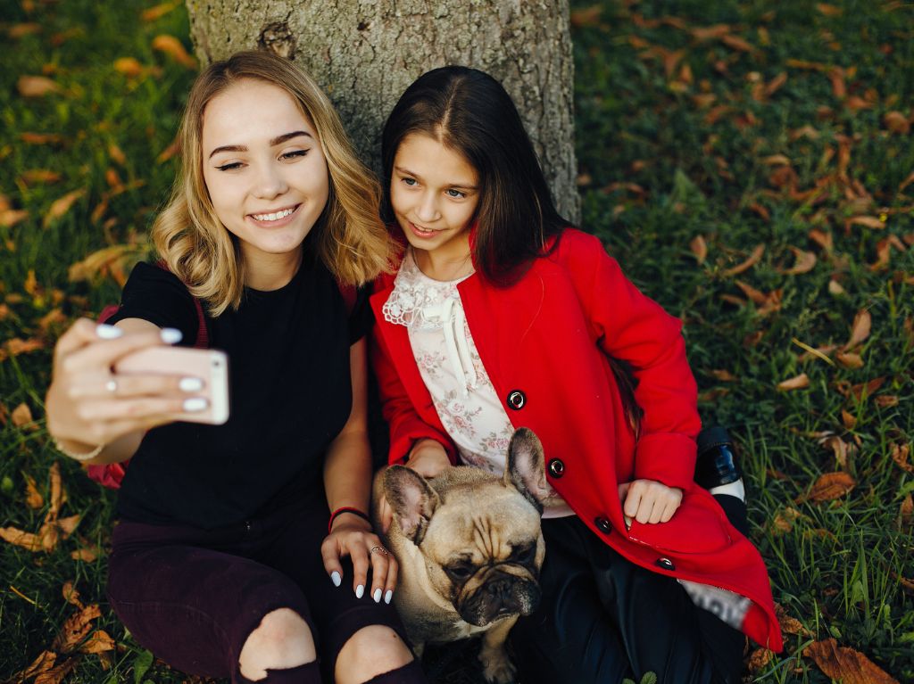 Actividades para celebrar con tu perrito el Día del Pug
