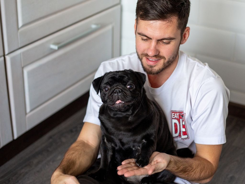 ¿Cuándo es el Día del Pug en México y CDMX? 