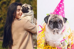 El Día del Pug en la CDMX este 2025 con evento, sorpresas y más
